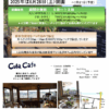 しゅうブルーベリー園摘み取り体験は2025年は6月28日（土）から